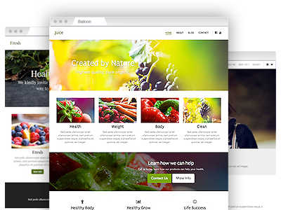 A selection of easy–to–customize website templates